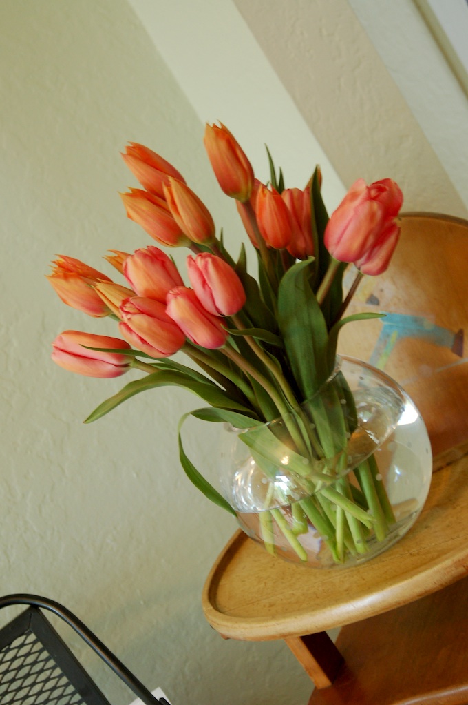 Tulips